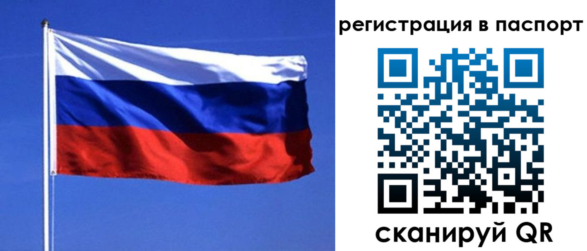 временная регистрация купить в Белгороде